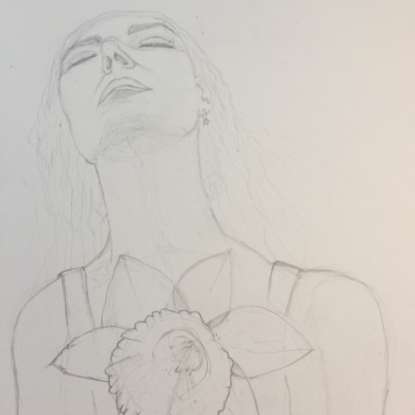 Rough Sketch